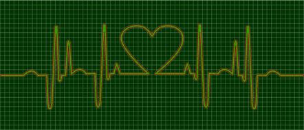 heartbeat pulse heart ecg