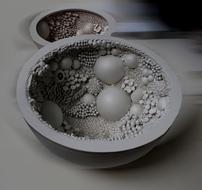 sea growths in the plate