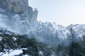 Mountains Winter Snow Christmas tree