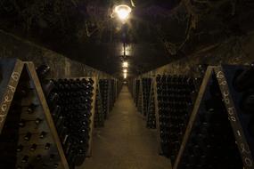 Wine bottles in stock