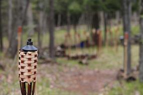 Torch Fire Woods