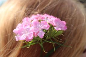 Flowers In Her Hair Pink Small