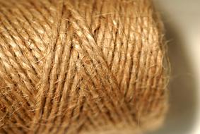 macro photo of Coil Thread Pattern