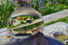 Glass Ball Mirroring Flowers