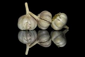 garlic heads on black background