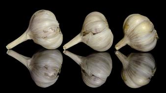 garlic fresh on a black background