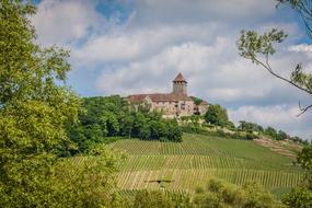 castle in the background of a field