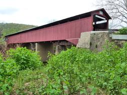 Covered Bridge Wood