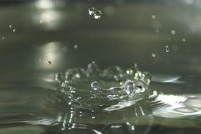 Fall Drop Of