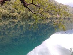 Jiuzhaigou Crystal Clear