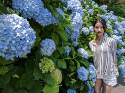 Hydrangea Jeju Women'S