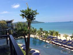 swimming pool with trees in the hotel