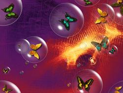 blow bright butterflies background