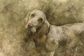 basset hound dog, digital art