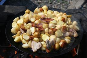 Picnic Fried nuts