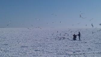 Sea Ice Winter