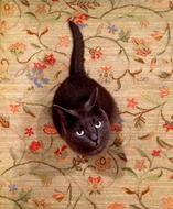 Cat Carpet Gray