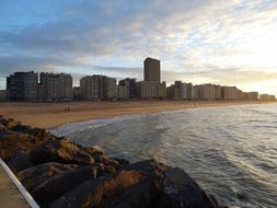 Oostende Bee