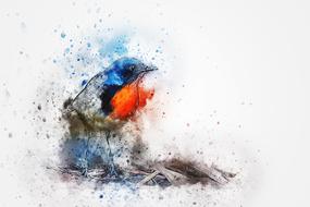 bird robin feathers art abstract drawing