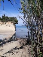 Cannal Amour