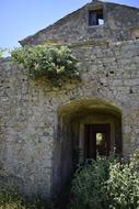 green bushes in front of an old stone building