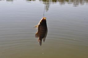 Lake Fish-Pay Fishing Boat