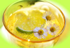 Lime Erfrischungsgetränk Detox