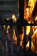 Campfire Wood Flame