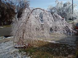 Ice Storm