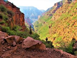 stone canyon with herbs