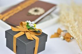 Gift Webbing