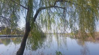 Lake View