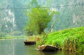 wooden boat in a wild pond