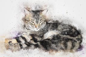 grey tabby cat, digital art