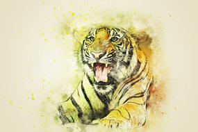 tiger animal art abstract drawing