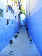 blue stone streets of the city