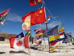 developing flags on the beach