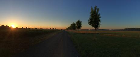 field at the Sunset