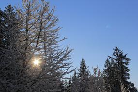 Snowy Morning Sunny Snow Cold Lens