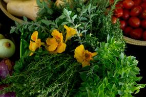 Nasturtium Thyme