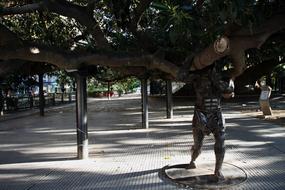 Tree Giant Buenos Aires