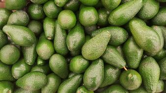 tasty fruits a lot