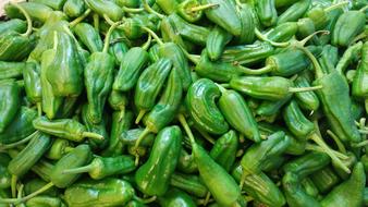 Padron Peppers Spanish