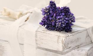Lavender Books Worn