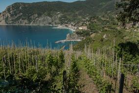 Italy Cinque Terre Monterosso