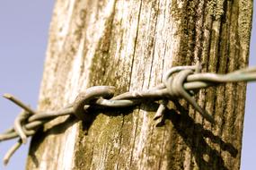 Barb Wire Fence