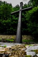 Cross Trees