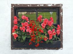 Window Flower Box