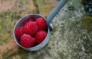 Raspberries Fruits Fruit