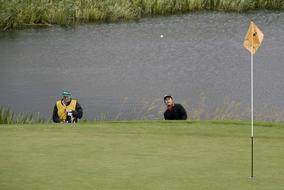 people by the green grass